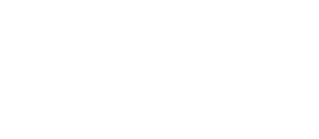 THE ONE SHOW
